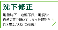 沈下修正